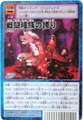 Bo-748 퓬푰̌ւ [DZNO254]