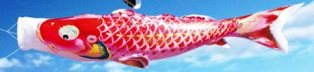 徳永こいのぼり よろこびの鯉 千寿 赤鯉 単品 1.5m [koi-0478]