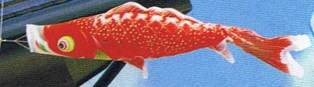 徳永こいのぼり 輝きの星 星歌スパンコール 赤鯉 単品 1.5m [koi-1309]